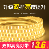 led soft light strip 220V super bright household decoration luminous display cabinet lamp box truck outdoor waterline light bar