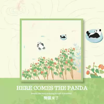 Oriental secret language panda came to Wenchuang super cute panda handkerchief wipe sweat small square soft cotton gift
