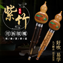 Cucurbit musical instrument beginner c tune primary school childrens flat tone adult self-study Hu Rusi professional performance type