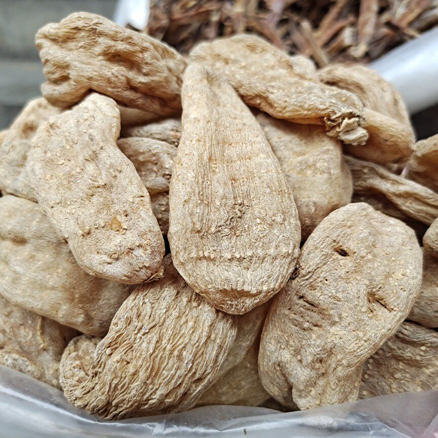 Special Class Gastrodia Shaanxi Qinling wild fleece-flower root sheet Han Chinese Grand-uncle Testay Mountain stock 250 gr about 8 large