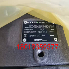 Бустерный насос hg22-125-100-01r-vpc sunny双联泵 海特克hytek齿轮泵 油泵