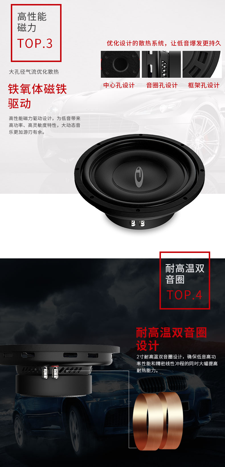 意大利TEC VE10