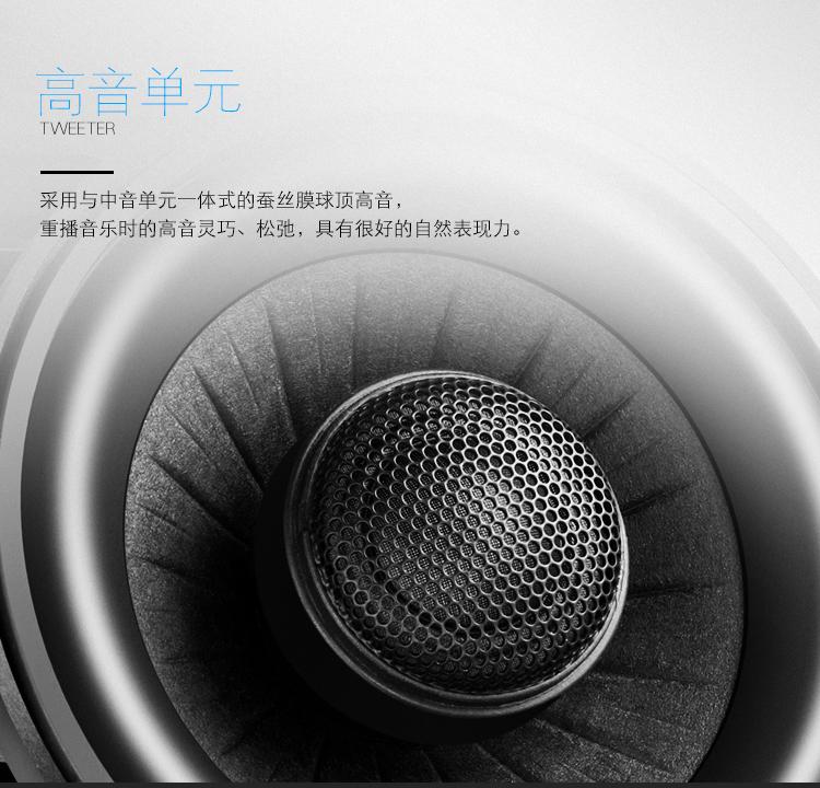 ETON(伊頓) B100X CN寶馬專車專用中置喇叭