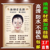 Human face holographic graphic wall chart hanging picture custom beauty salon face Meridian acupoint scraping poster map
