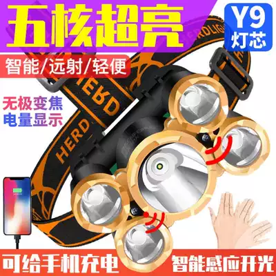 LED headlight strong light rechargeable light super bright headlight super long standby flashlight strong light head wearing miner's lamp induction light