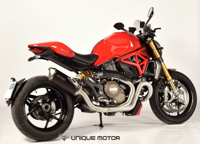 Italian SPARK Classic exhaust tail section Ducati Ducati monster Monster 821