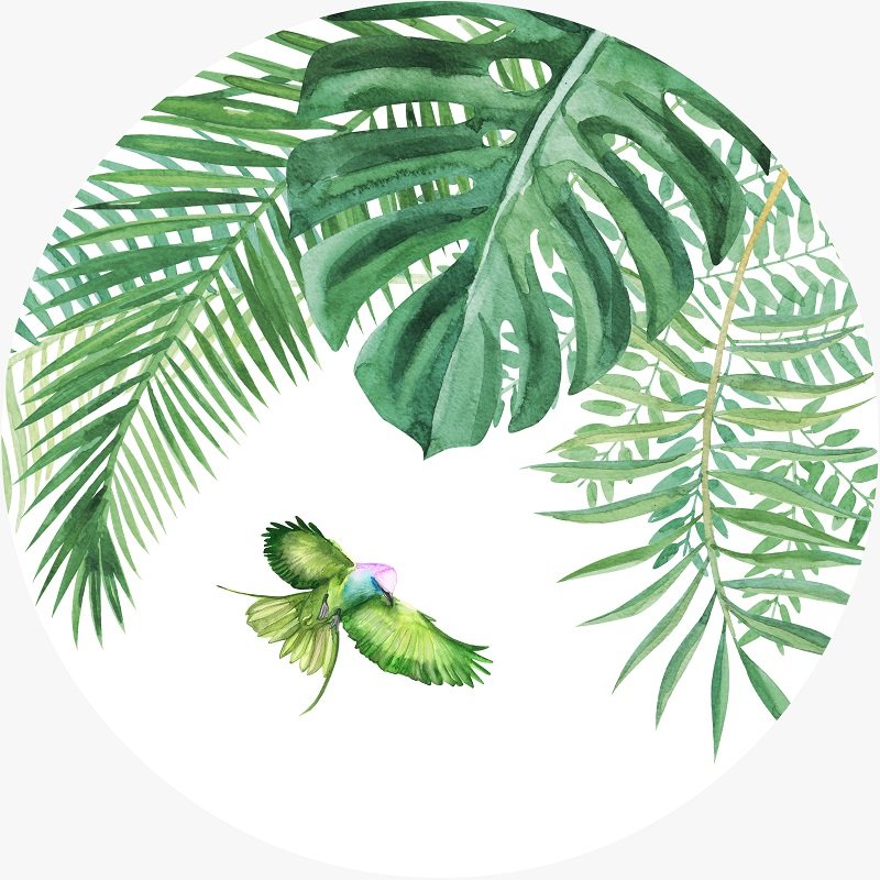 Nordic fresh series gallery (specially for selection, no extra charge)