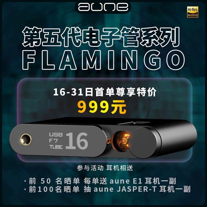 Оулайль аonе Flamingo Firebird Расшифровка HIFI DSD512 Аудио Bluetooth Электронная трубка лысый