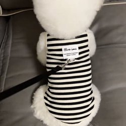 Dog Summer Vest with Leash Ring for Teddy, Bichon, Small Cats, and Puppies, Thin Striped Clothing for Summer