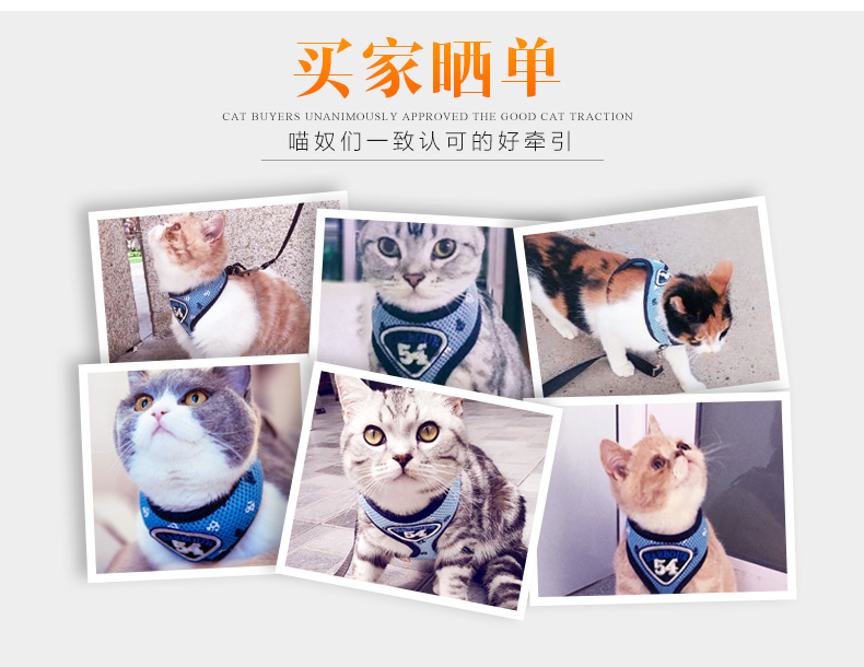 猫 Dây xích mèo dây đeo chống ly thoát mèo dây vest kiểu dây chuyền mèo thoải mái thoáng khí - Cat / Dog hàng ngày Neccessities 	bát đựng thức ăn cho mèo