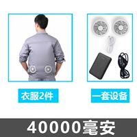 2 куска серого+один набор аксессуаров (4 мАч)