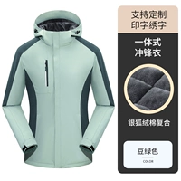 Обновить бобовый зеленый [серебряный бархатный бархат утолщен]