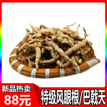 Morinda Day Tongrentang Eye Root Medicinal Herbs officinalis Pheasant Intestines Wind Fresh Saucepan of Herbal Medicine 500g