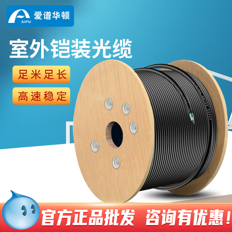 Love spectrum Wharton GYXTW outdoor armored 4 6 8 12 core single-mode optical cable engineering home decoration optical cable