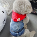 Pet Cat, чем медведь Сюенари, маленькая собака плюшевая одежда для собаки весна джинсовая джинсовая джинсовая велека