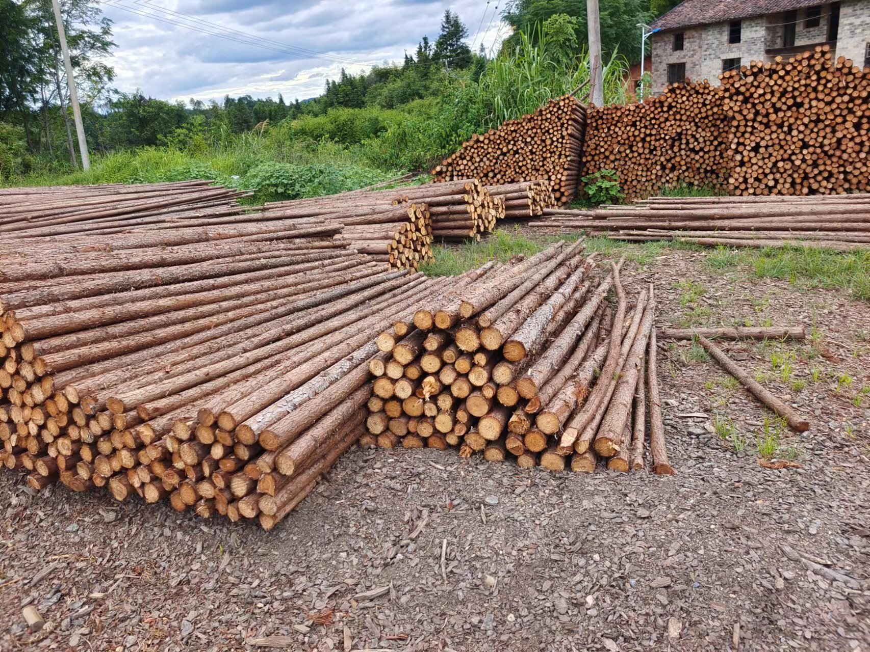 [USD 6.88] The cedar tree trunk fence is a wooden trunk with a view to ...