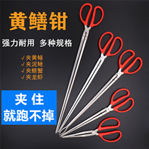 Stainless Steel Eel clip crab clip to Sea artifact fish control Loach eel lobster clip garbage clip tool