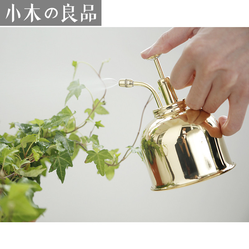 brass brass watering pot watering fleshy sprayer watering pot Nordic INS small gold sprinkler