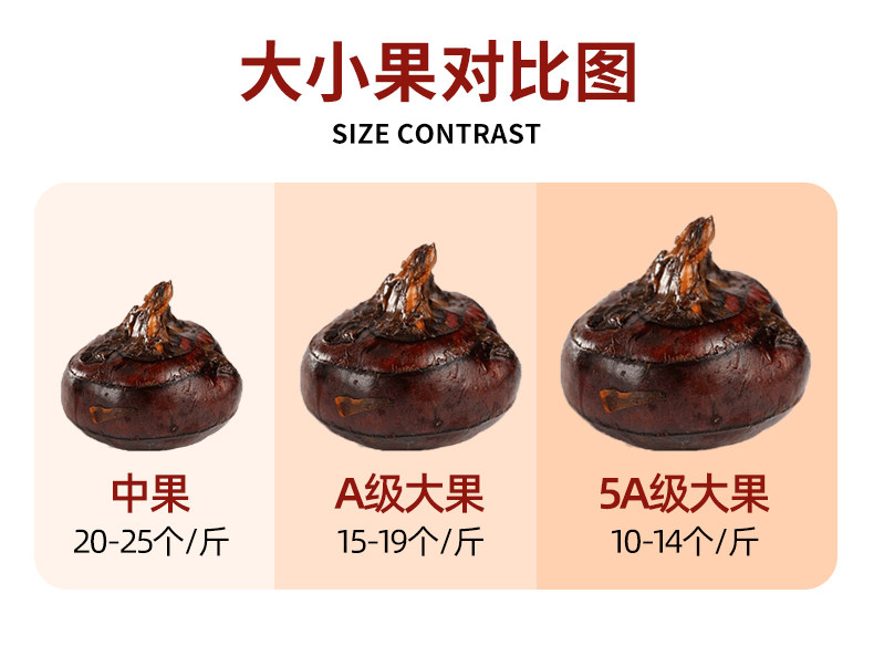 蒙特香 广西新鲜大号马蹄荸荠 5斤装 天猫优惠券折后￥25.8包邮（￥39.8-14）