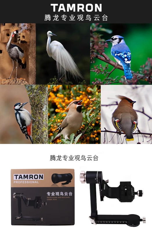 Tamron 150-600mm A011 VC siêu rung tele chim chụp tháng ống kính Canon Canon
