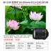 Máy ảnh máy ảnh kỹ thuật số Nikon D7200 đặt máy ảnh Nikon 18-105 (máy chất lượng) - SLR kỹ thuật số chuyên nghiệp