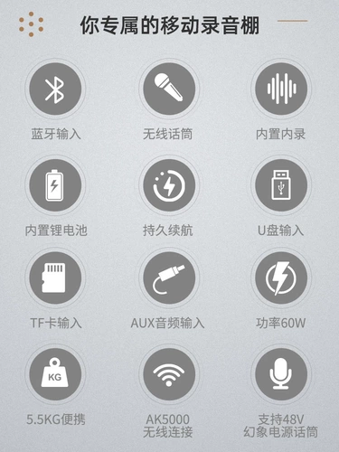 Sound Partner K8 Saxophone Blowing Pipe Erhu Accompanent Instrument Special Audio Outdoor Внутренняя запись в прямом эфире