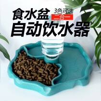 Reptile basin tortoise basin automatic drinking water tray horned frog lizard snake tortoise supplies climbing pet automatic drinking fountain