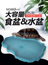 Reptile basin hedgehog Spider horned frog turtle yellow margin scorpion lizard pet snake bath tortoise basin reptile