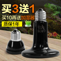 Ceramic lamp heating tortoise lizard Spider reptile incubator pet snake hedgehog feeding box tortoise heating lamp
