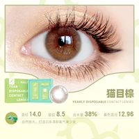 Кошачья грязь коричневый 14,0 [популярный взрыв] фавориты+плюс 1 р до 1 р до 1