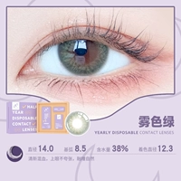 Misty Green 14.0 [талант разные арктические звезда] купить 1 пару, чтобы получить 1 пару