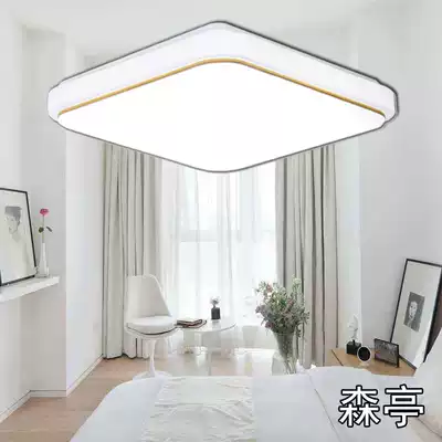 LED ceiling light super bright living room light aisle corridor bedroom square remote control study dining room balcony LED lamps