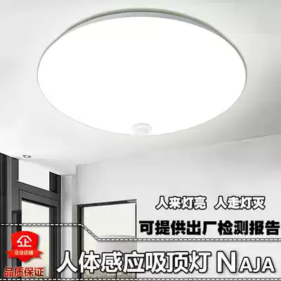 LED human body induction ceiling light Home radar corridor sound and light control infrared stair garage night light