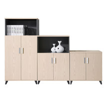 Xinfupai office furniture file cabinet low cabinet office file data locker combination wooden cabinet