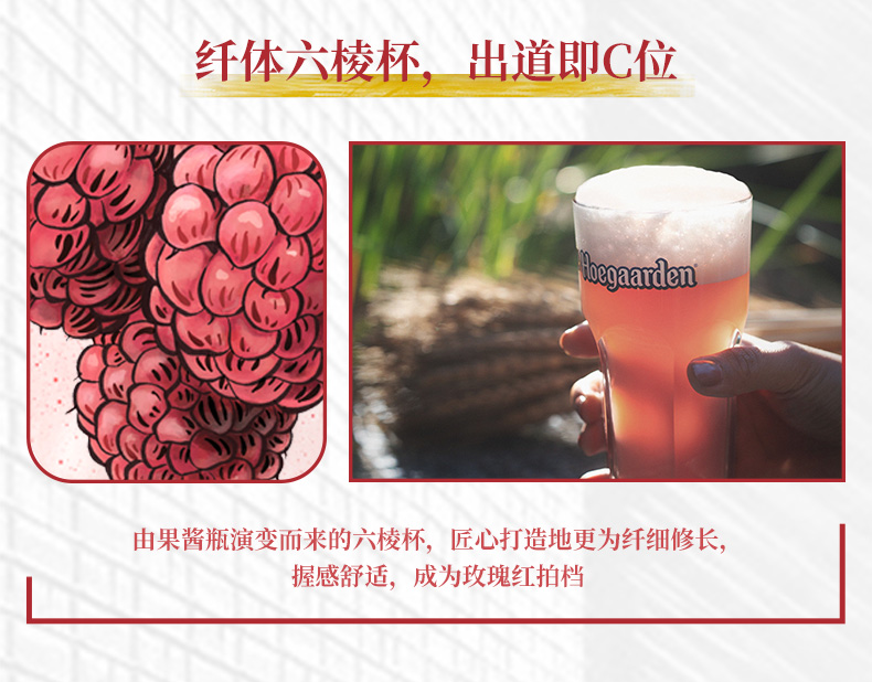 福佳 比利时风味 精酿玫瑰红啤酒310ml*12听 图5