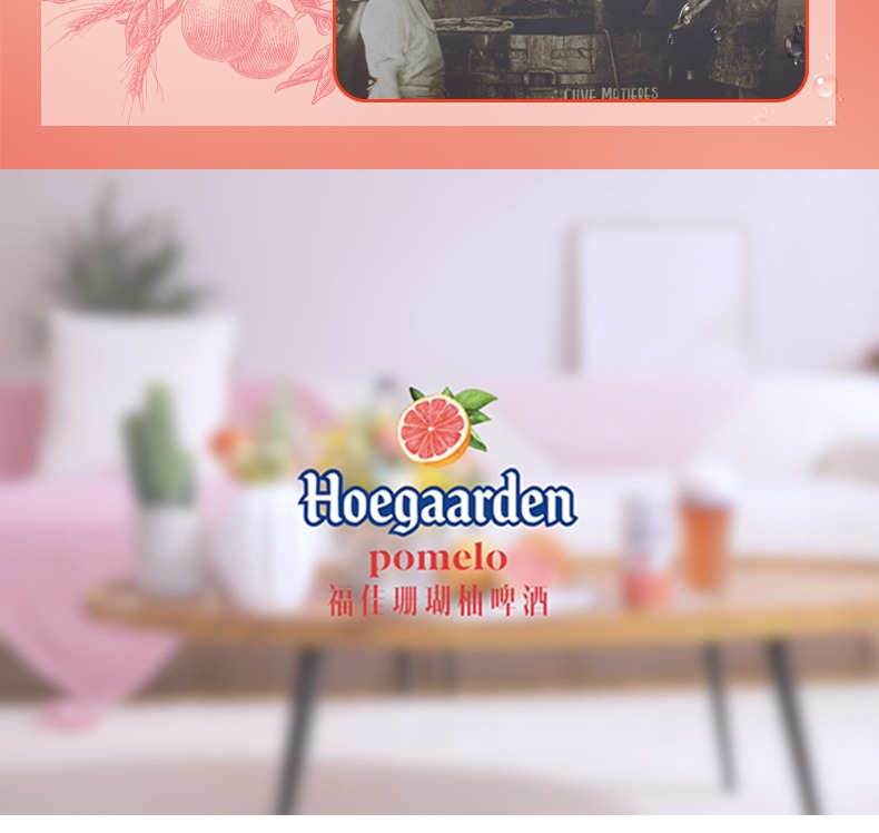 Hoegaarden福佳珊瑚柚啤酒精酿啤酒248ml*6