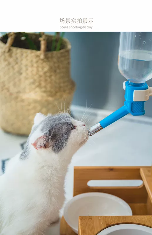 Pet nước quả con chó quả nước treo mèo uống nước uống tạo tác nước tự động con chó trung chuyển không ướt miệng - Cat / Dog hàng ngày Neccessities