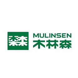 木林森龙腾店