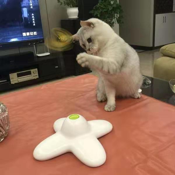 Kitty Toy Kitten Butterfly Electric Automatic Teasing Cat Will Fly Teasing Cat Sticks Teasing Cat Toy Cat Toy Self-Hi-Taobao