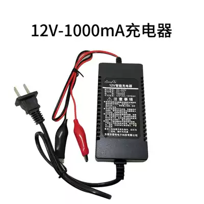 Smart 12V1A lead-acid battery charger pedal locomotive battery charger dry battery through special type