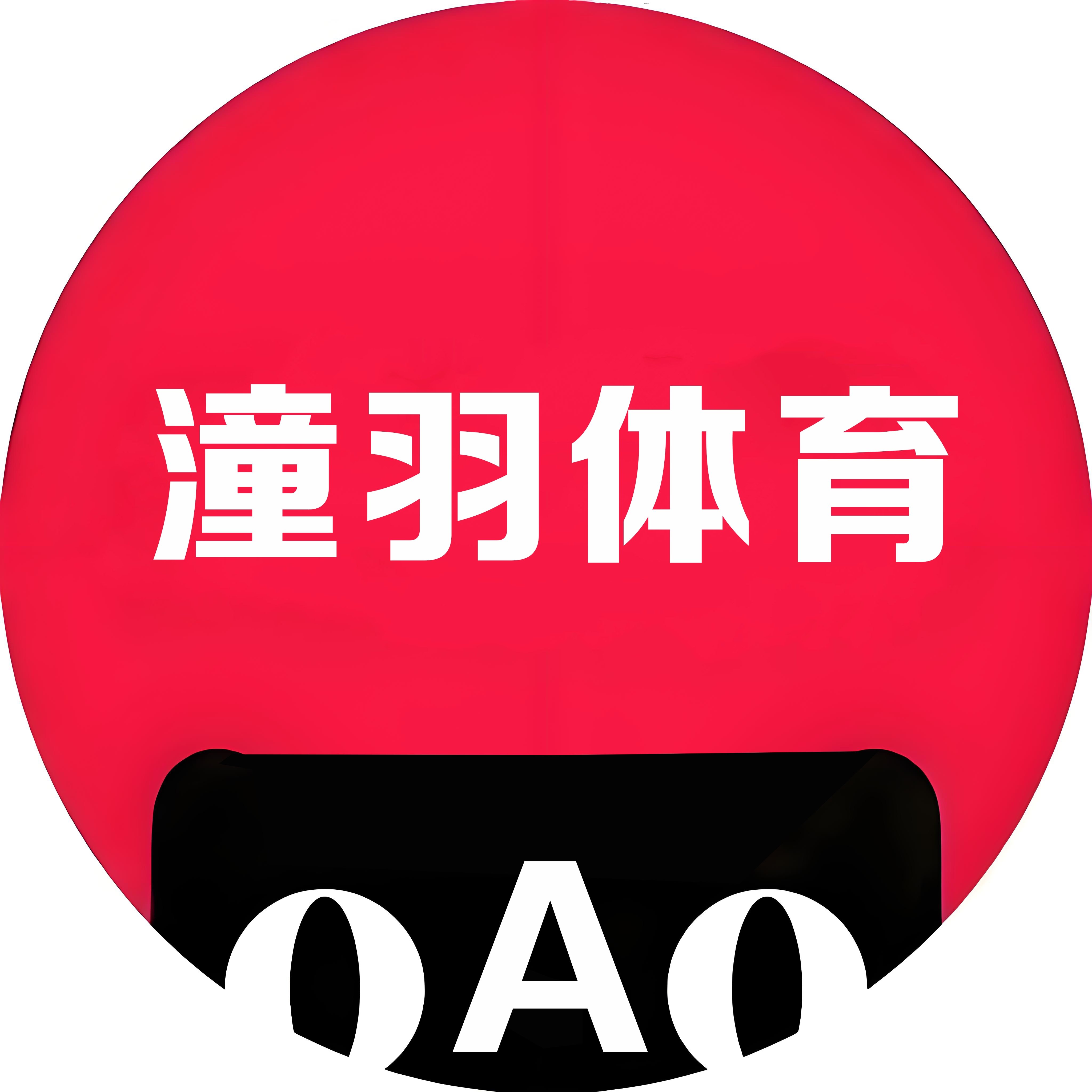 潼羽体育篮球服