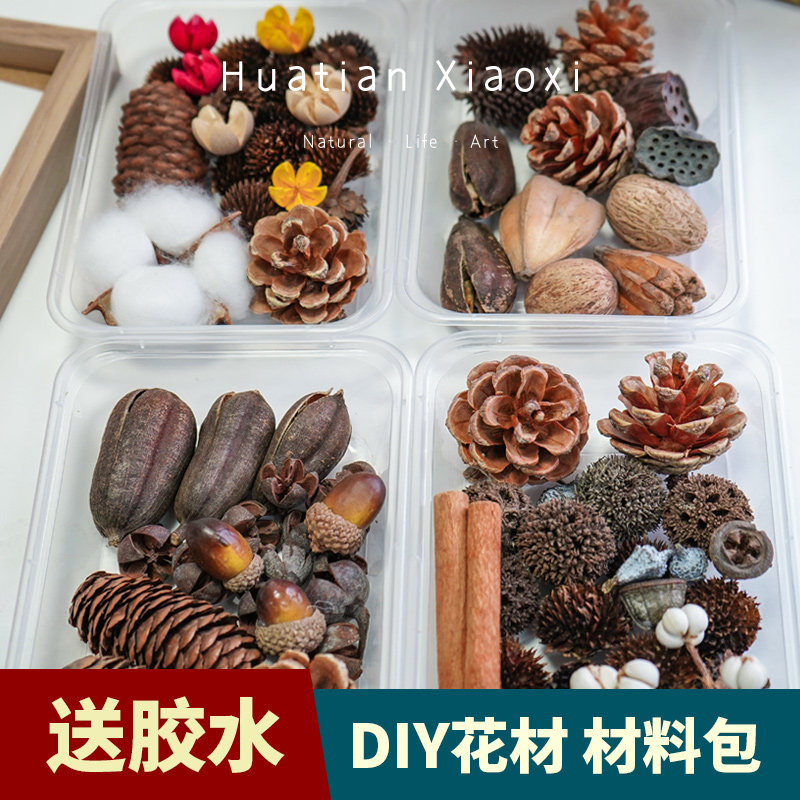Real Flowers Pine Nuts Fruit Handmade Diy Dry Flowers Materials Cotton Mixed Flower Material Bags Nursery Sen Rings Tron