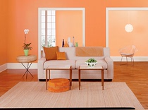 Orange Orange red interior wall environmental protection latex paint color adjustable orange interior wall topcoat net taste home improvement paint