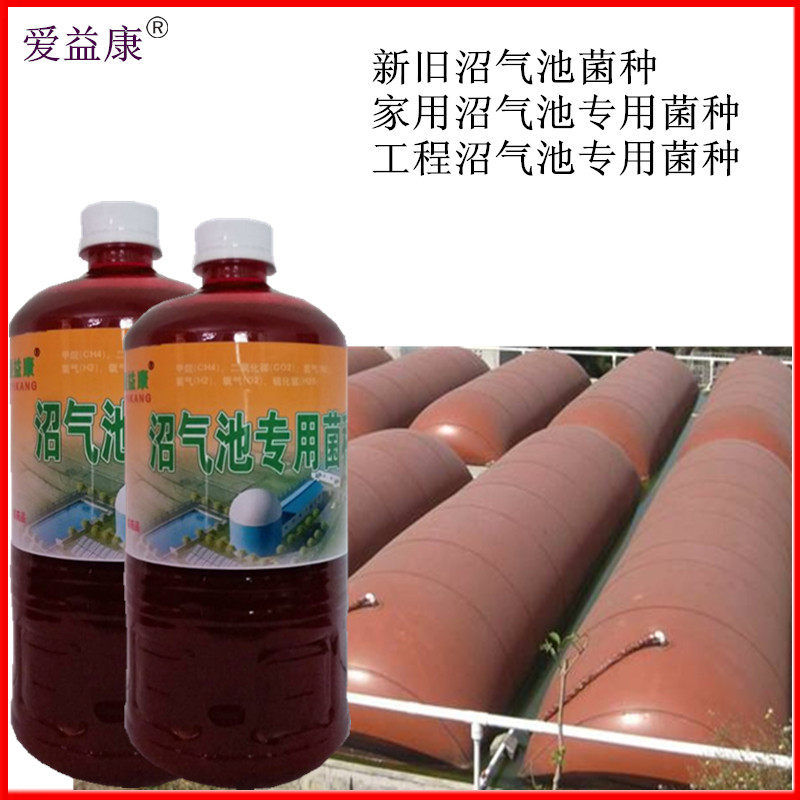 The fermentation sewage festering sewage fecal agent potent for the launch of fermentation bacteria biogas powder in Aiikang biogas tank