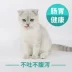 Túi xách Bear Kem dưỡng tóc Kem nhổ Kem bóng Điều hòa đường tiêu hóa Anh Short Blue Cat Kitty Cung cấp 120g - Cat / Dog Health bổ sung