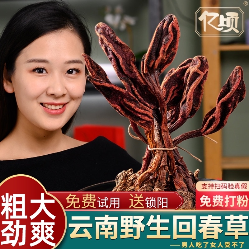 Premium rejuvenating grass Wild evergreen grass Yunnan bubble water bubble wine material health solar terms soup package Nourishing health material 500g