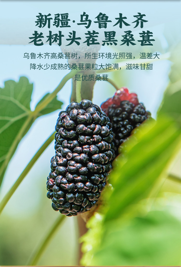 Mulberry Rose Black Goji Cili Fruit Dried Fruit Blend Canister Herbal Flower Tea 100g key features
