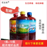 Экологическая экологическая концентрированная пробиотическая посадка Аквакультура Аквакультура лучше, чем пробиотическая жидкость, пробиотическая жидкость.