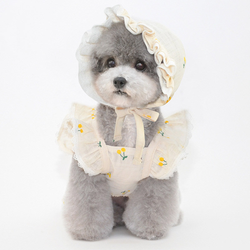 Dog Clothes Summer Thin Sun Protection Dress Princess Lace Cool Cat Teddy Bichon Pet Clothes Sun Hat