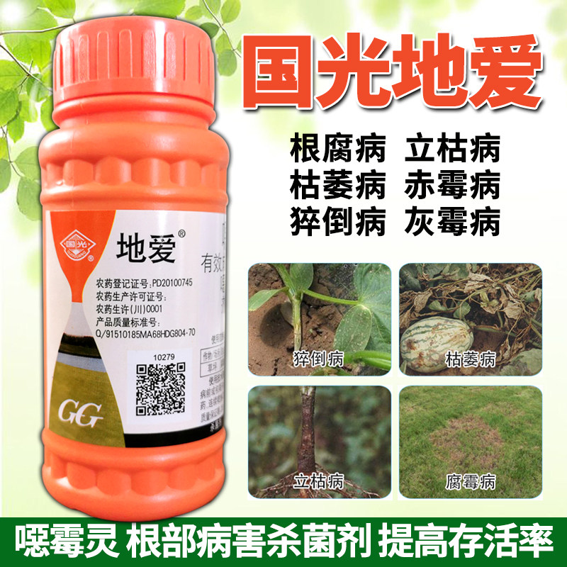 Guang Love Malawi Root-Root Treatment of Vericle Illness Casudden Illness Devail Seeds
